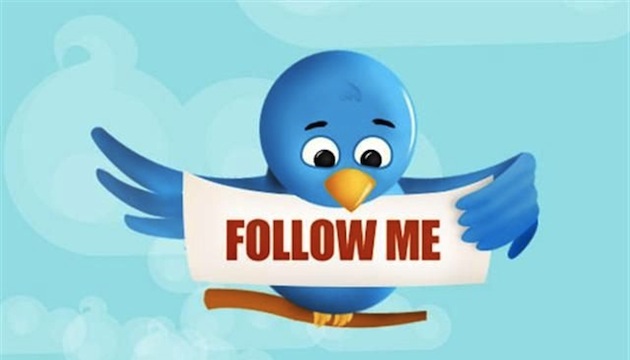 twitter-bird-pic