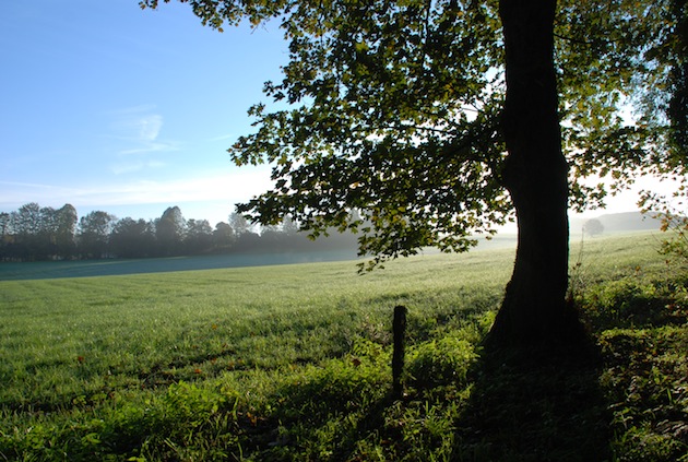 paesaggio