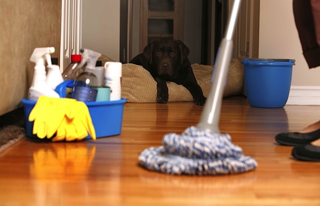 reputation cleaning