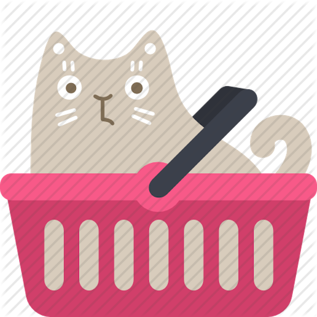 gatto social