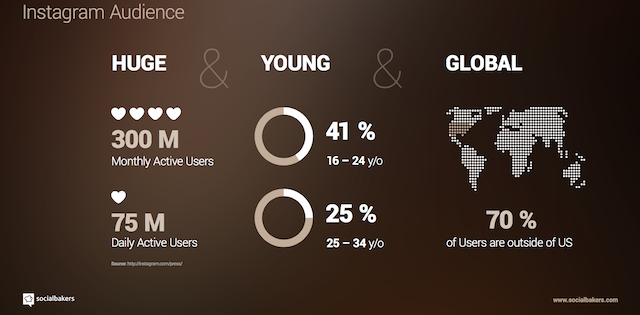 instagram audience