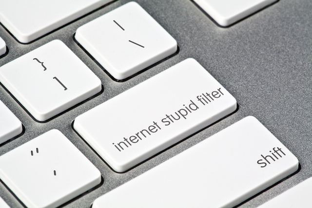 internet ci rende stupidi