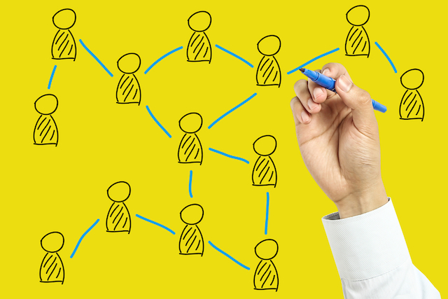 social organization