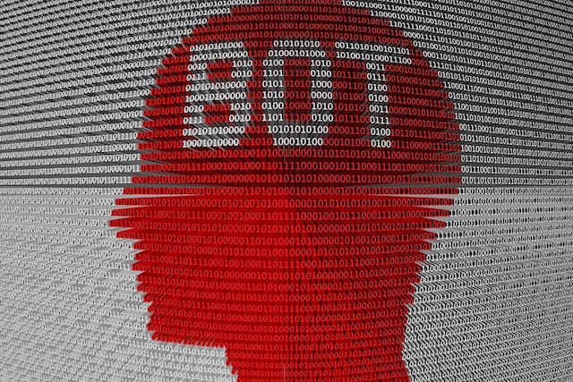 bot
